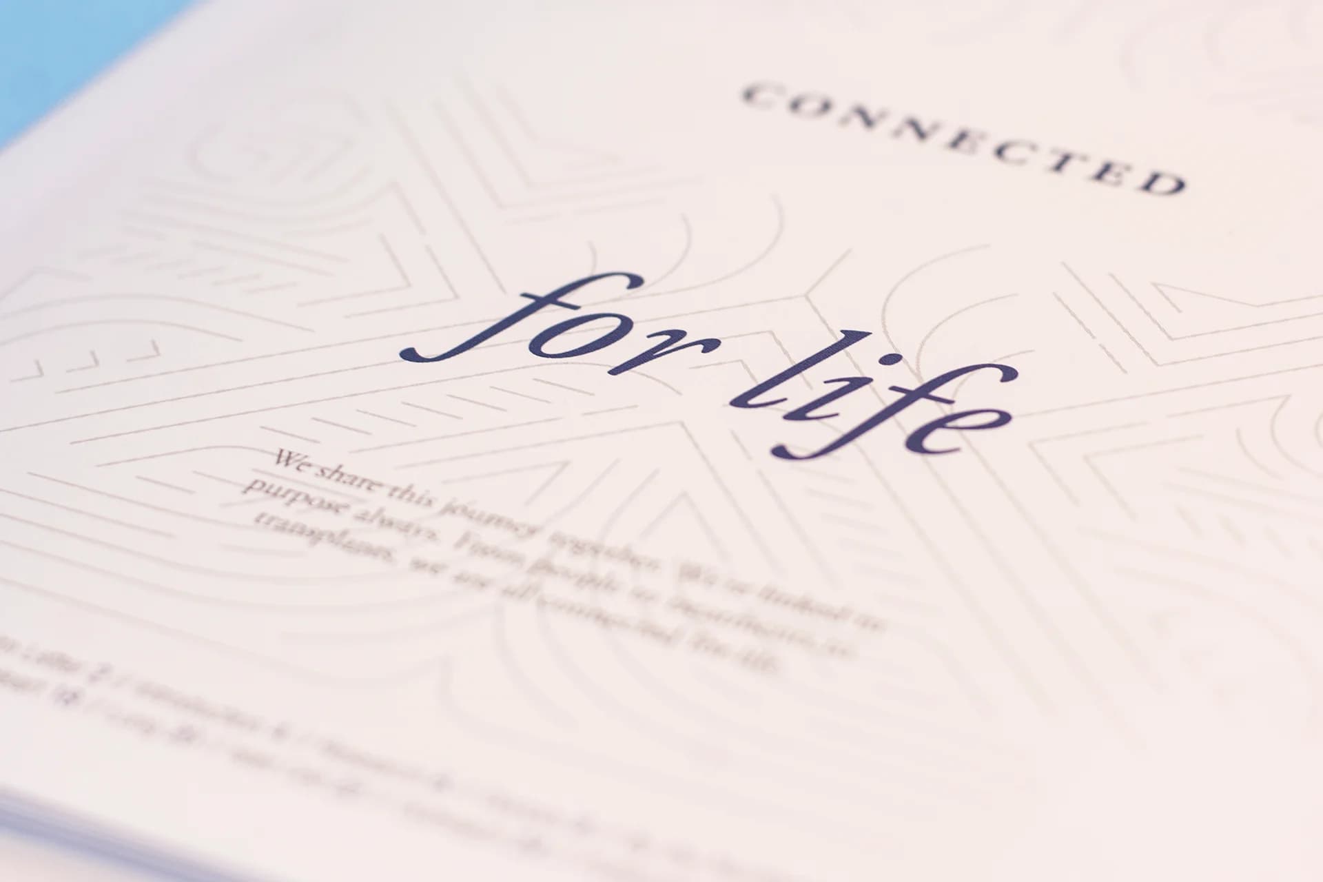 A close up of a paper with the word for life on it